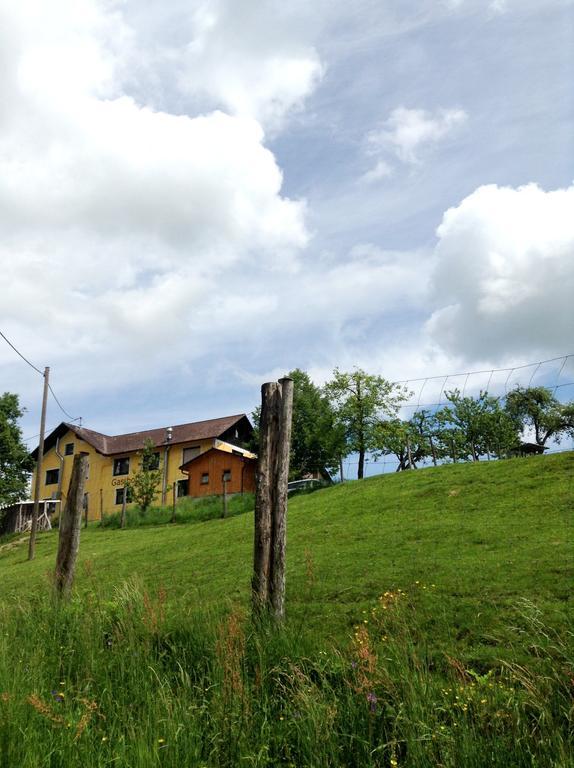 Gasthof-Pension Silvia Haibach ob der Donau Exterior foto